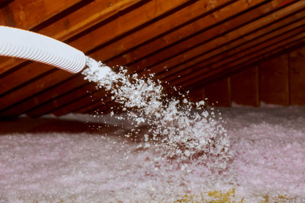 Best Insulation Maintenance and Repair in Williamstown, WV